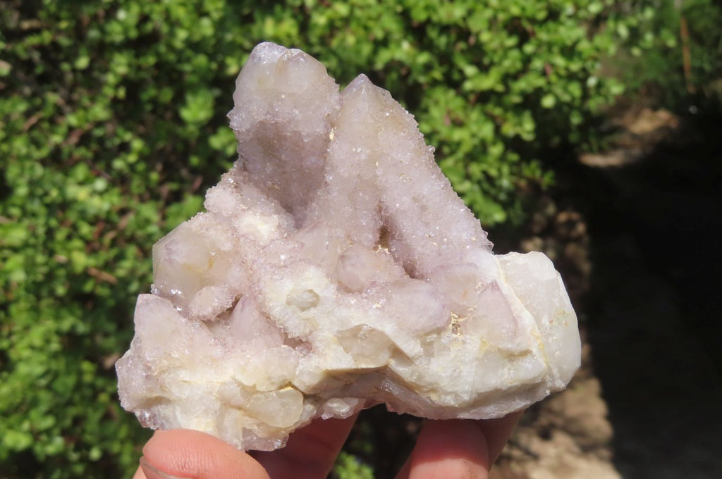 Natural Spirit Quartz Clusters x 6 From Boekenhouthoek, South Africa - Toprock Gemstones and Minerals 