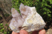 Natural Spirit Quartz Clusters x 6 From Boekenhouthoek, South Africa - Toprock Gemstones and Minerals 