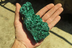 Natural Silky Malachite Specimens x 3 From Kasompe, Congo - Toprock Gemstones and Minerals 