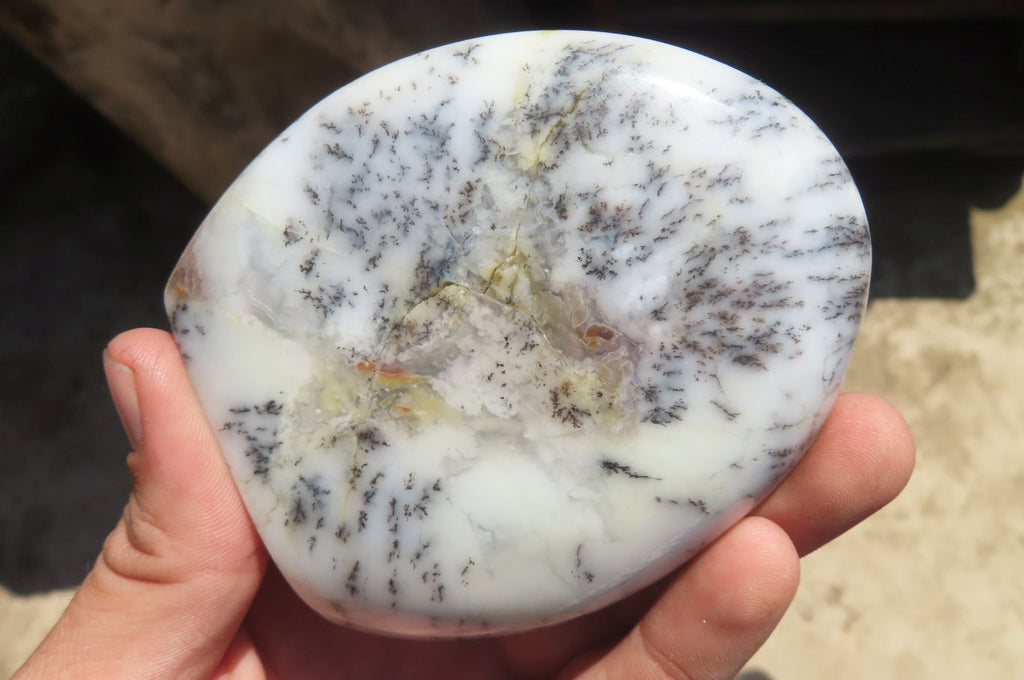 Polished Dendritic Opal Standing Free Forms x 6 From Moralambo, Madagascar - Toprock Gemstones and Minerals 