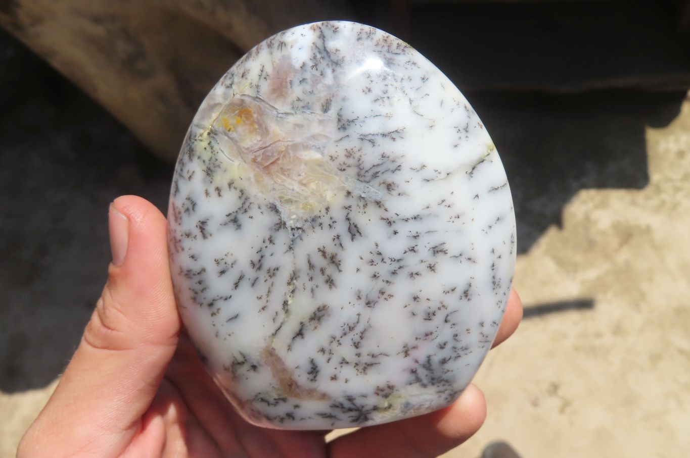 Polished Dendritic Opal Standing Free Forms x 6 From Moralambo, Madagascar - Toprock Gemstones and Minerals 