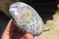 Polished Dendritic Opal Standing Free Forms x 6 From Moralambo, Madagascar - Toprock Gemstones and Minerals 
