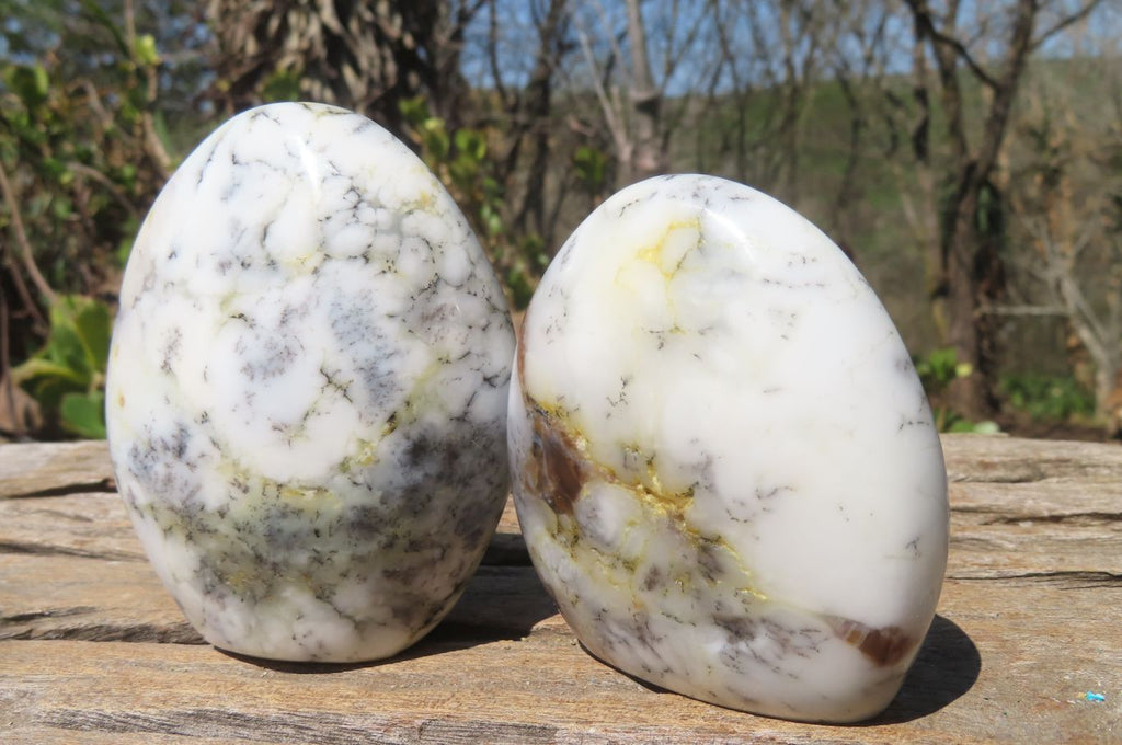 Polished Dendritic Opal Standing Free Forms x 6 From Moralambo, Madagascar - Toprock Gemstones and Minerals 