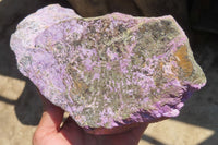 Natural Stichtite Specimen x 1 From Barberton, South Africa - Toprock Gemstones and Minerals 