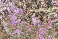 Natural Stichtite Specimen x 1 From Barberton, South Africa - Toprock Gemstones and Minerals 