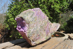 Natural Stichtite Specimen x 1 From Barberton, South Africa - Toprock Gemstones and Minerals 