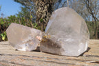 Polished Smokey Window Quartz Crystals x 3 From Madagascar - Toprock Gemstones and Minerals 