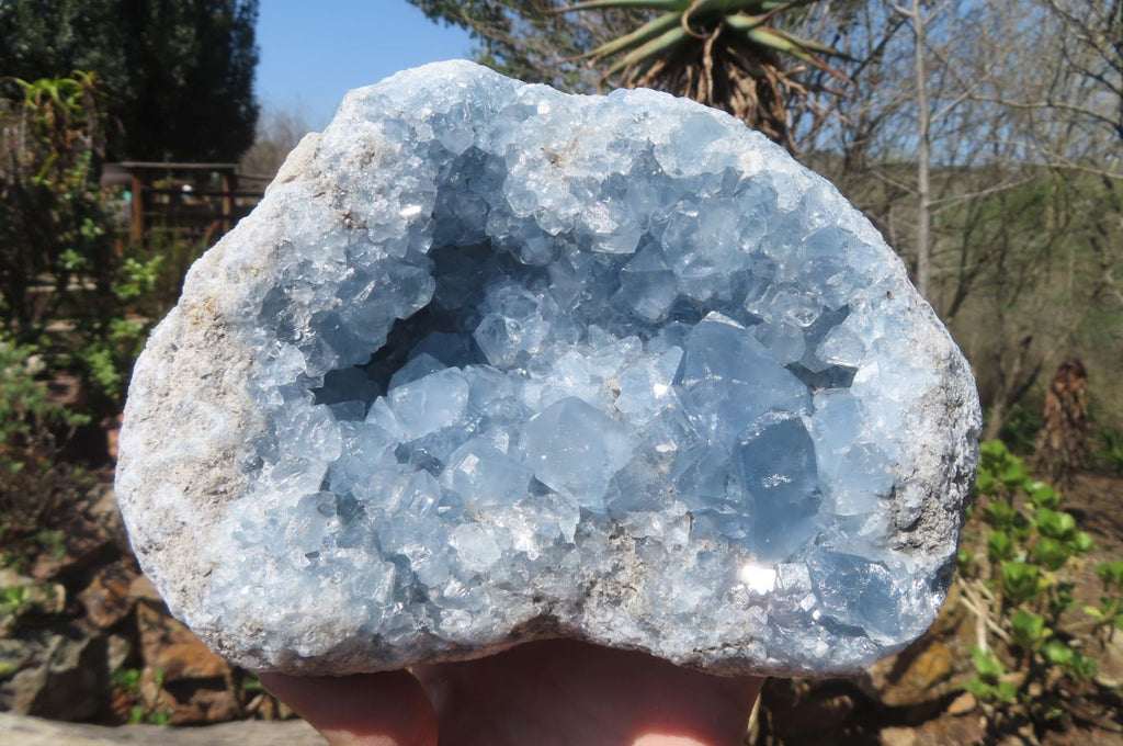 Natural Celestite Geode Specimen x 1 From Sakoany, Madagascar - Toprock Gemstones and Minerals 