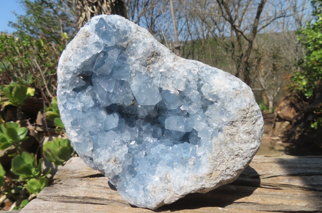 Natural Celestite Geode Specimen x 1 From Sakoany, Madagascar - Toprock Gemstones and Minerals 