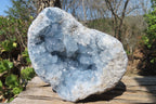 Natural Celestite Geode Specimen x 1 From Sakoany, Madagascar - Toprock Gemstones and Minerals 
