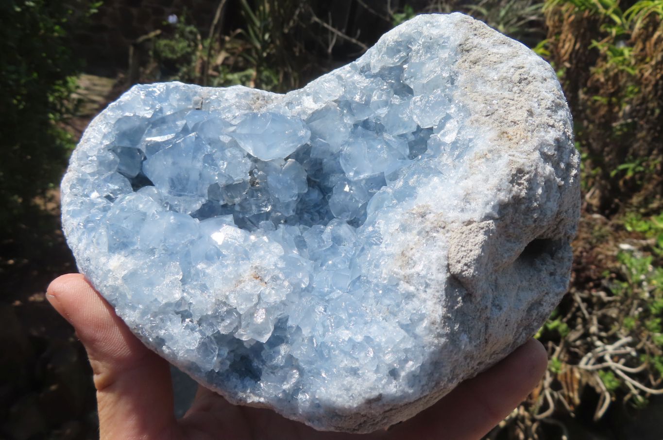 Natural Celestite Geode Specimen x 1 From Sakoany, Madagascar - Toprock Gemstones and Minerals 