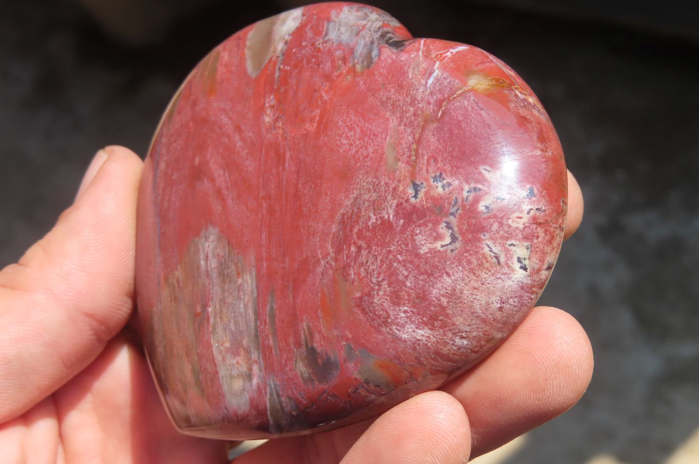 Polished Red Podocarpus Petrified Wood Hearts x 3 From Madagascar - Toprock Gemstones and Minerals 
