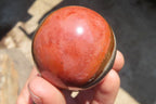 Polished Polychrome Jasper Spheres x 6 From Madagascar - Toprock Gemstones and Minerals 