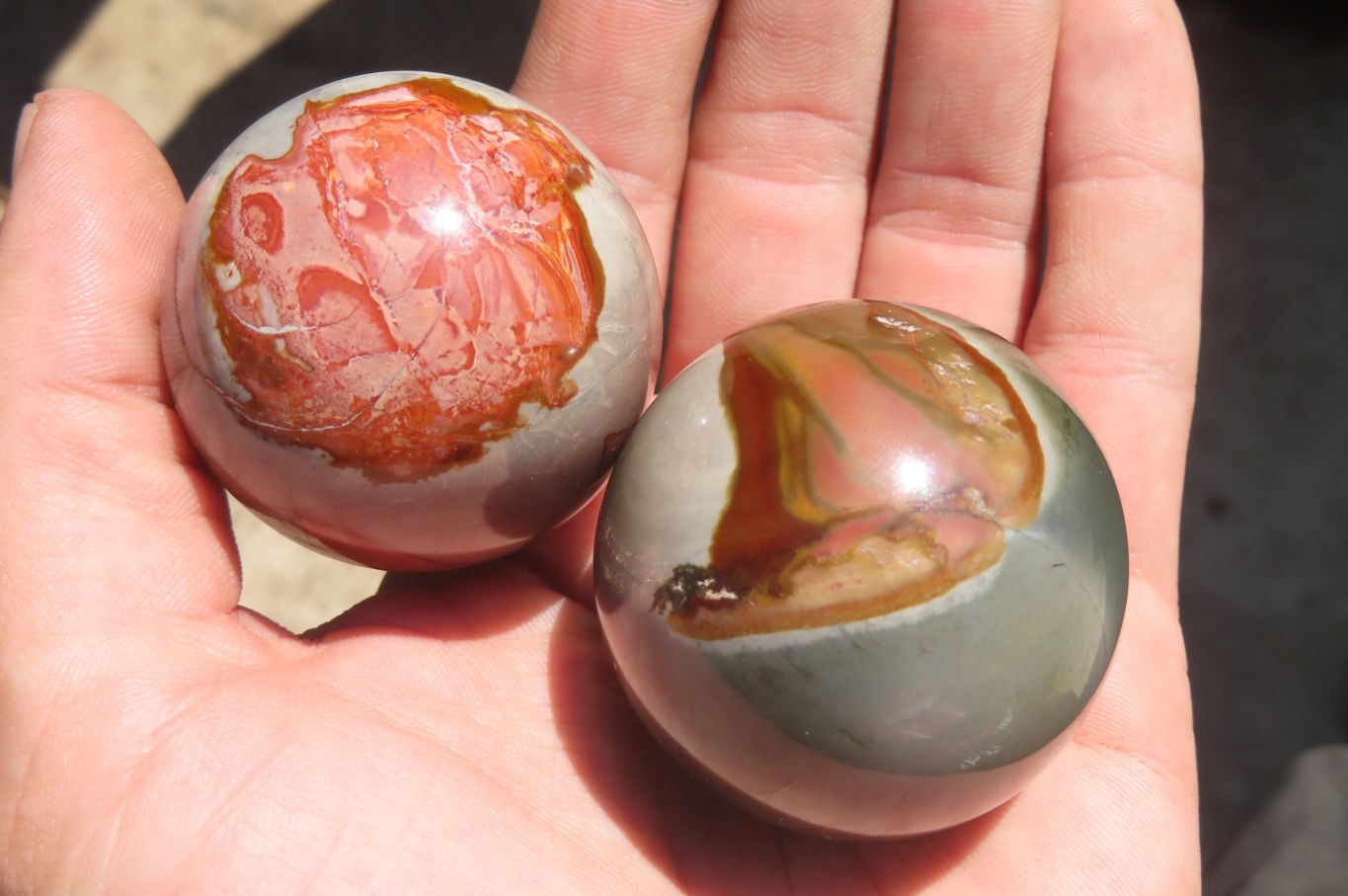 Polished Polychrome Jasper Spheres x 6 From Madagascar - Toprock Gemstones and Minerals 