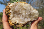 Natural Limonite Quartz Specimens x 5 From Zambia - Toprock Gemstones and Minerals 