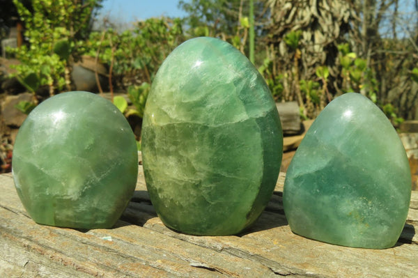 Polished Green Fluorite Standing Free Forms x 3 From Madagascar