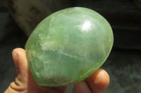 Polished Green Fluorite Standing Free Forms x 3 From Madagascar