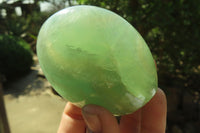 Polished Green Fluorite Standing Free Forms x 3 From Madagascar