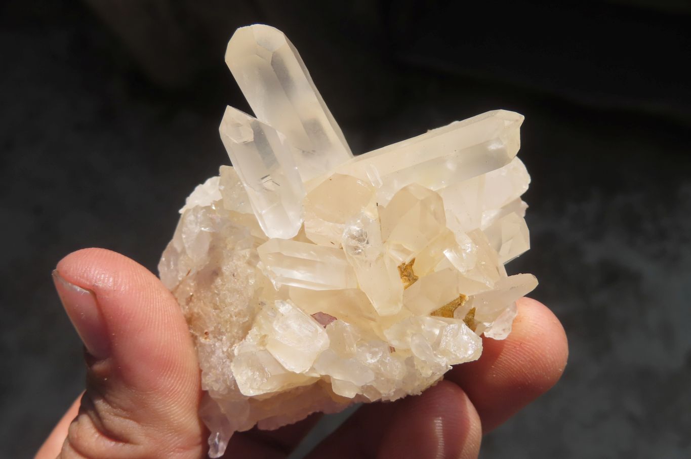 Natural Mixed Quartz Clusters x 24 From Madagascar - Toprock Gemstones and Minerals 