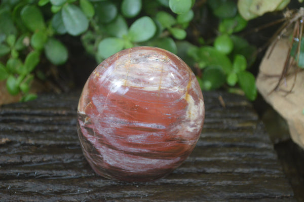 Polished Red Podocarpus Petrified Wood Standing Free Forms x 3 From Madagascar - Toprock Gemstones and Minerals 