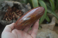 Polished Red Podocarpus Petrified Wood Standing Free Forms x 3 From Madagascar - Toprock Gemstones and Minerals 