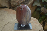 Polished Red Podocarpus Petrified Wood Standing Free Forms x 3 From Madagascar - Toprock Gemstones and Minerals 