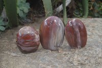 Polished Red Podocarpus Petrified Wood Standing Free Forms x 3 From Madagascar - Toprock Gemstones and Minerals 