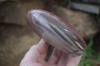 Polished Red Podocarpus Petrified Wood Standing Free Forms x 3 From Madagascar - Toprock Gemstones and Minerals 