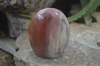 Polished Red Podocarpus Petrified Wood Standing Free Forms x 3 From Madagascar - Toprock Gemstones and Minerals 