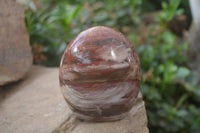 Polished Red Podocarpus Petrified Wood Standing Free Forms x 3 From Madagascar - Toprock Gemstones and Minerals 