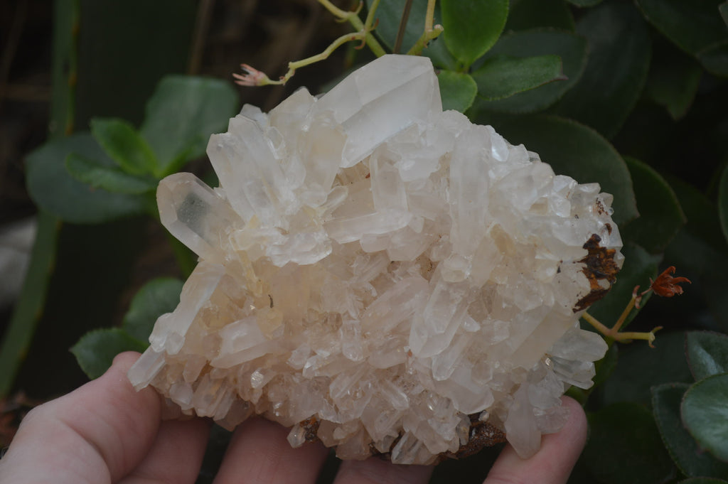 Natural Clear Quartz Crystal Clusters x 12 From Madagascar - Toprock Gemstones and Minerals 