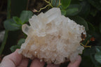 Natural Clear Quartz Crystal Clusters x 12 From Madagascar - Toprock Gemstones and Minerals 