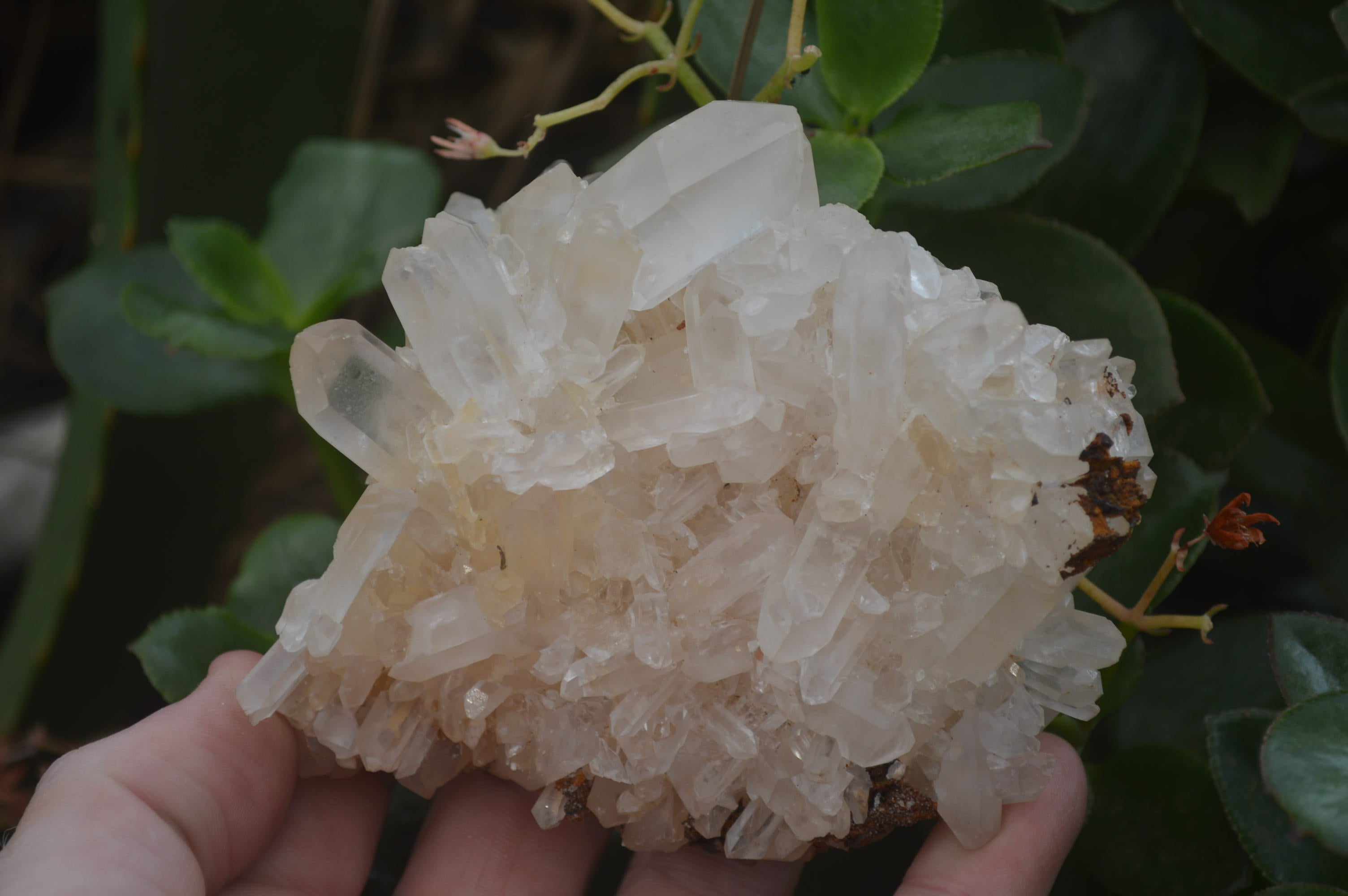 Natural Clear Quartz Crystal Clusters x 12 From Madagascar - Toprock Gemstones and Minerals 