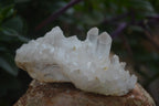 Natural Clear Quartz Crystal Clusters x 12 From Madagascar - Toprock Gemstones and Minerals 