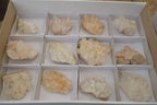 Natural Clear Quartz Crystal Clusters x 12 From Madagascar - Toprock Gemstones and Minerals 