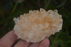 Natural Clear Quartz Crystal Clusters x 12 From Madagascar - Toprock Gemstones and Minerals 
