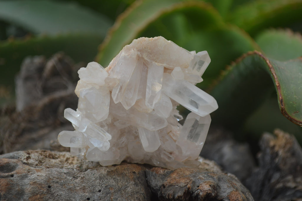 Natural Clear Quartz Crystal Clusters x 12 From Madagascar - Toprock Gemstones and Minerals 