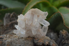 Natural Clear Quartz Crystal Clusters x 12 From Madagascar - Toprock Gemstones and Minerals 