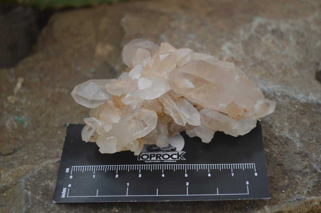 Natural Clear Quartz Crystal Clusters x 12 From Madagascar - Toprock Gemstones and Minerals 