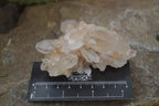 Natural Clear Quartz Crystal Clusters x 12 From Madagascar - Toprock Gemstones and Minerals 