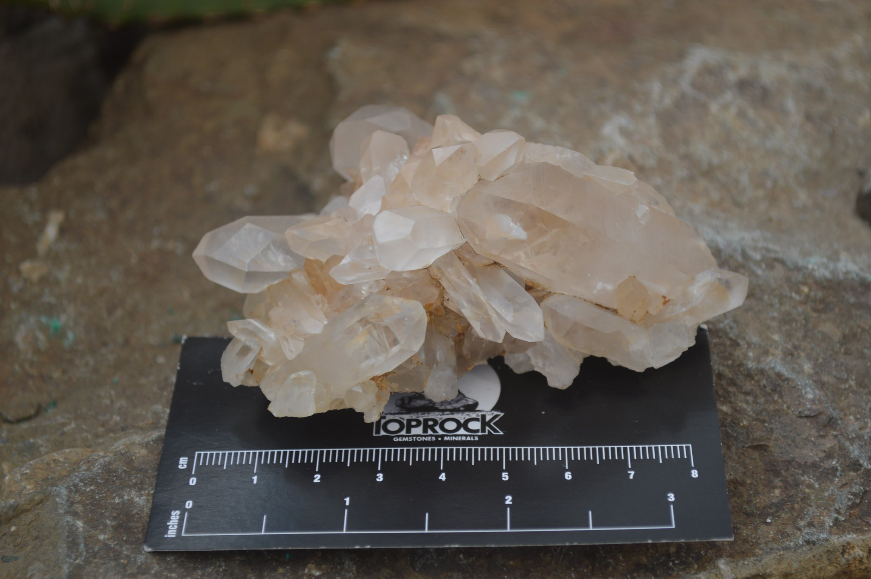 Natural Clear Quartz Crystal Clusters x 12 From Madagascar - Toprock Gemstones and Minerals 