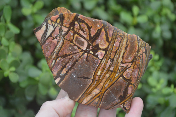 Polished On One Side Nguni Jasper Specimens x 3 From Prieska, South Africa - Toprock Gemstones and Minerals 