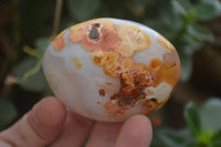 Polished Banded Agate Palm Stones x 24 From Madagascar - Toprock Gemstones and Minerals 