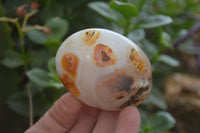 Polished Banded Agate Palm Stones x 24 From Madagascar - Toprock Gemstones and Minerals 