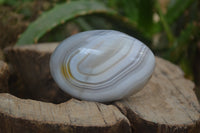 Polished Banded Agate Palm Stones x 24 From Madagascar - Toprock Gemstones and Minerals 