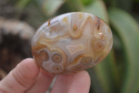 Polished Banded Agate Palm Stones x 24 From Madagascar - Toprock Gemstones and Minerals 