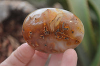 Polished Banded Agate Palm Stones x 24 From Madagascar - Toprock Gemstones and Minerals 