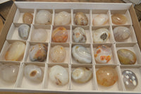 Polished Banded Agate Palm Stones x 24 From Madagascar - Toprock Gemstones and Minerals 
