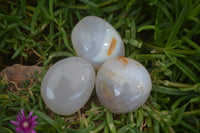 Polished Banded Agate Palm Stones x 24 From Madagascar - Toprock Gemstones and Minerals 