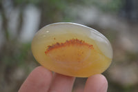 Polished Banded Agate Palm Stones x 24 From Madagascar - Toprock Gemstones and Minerals 